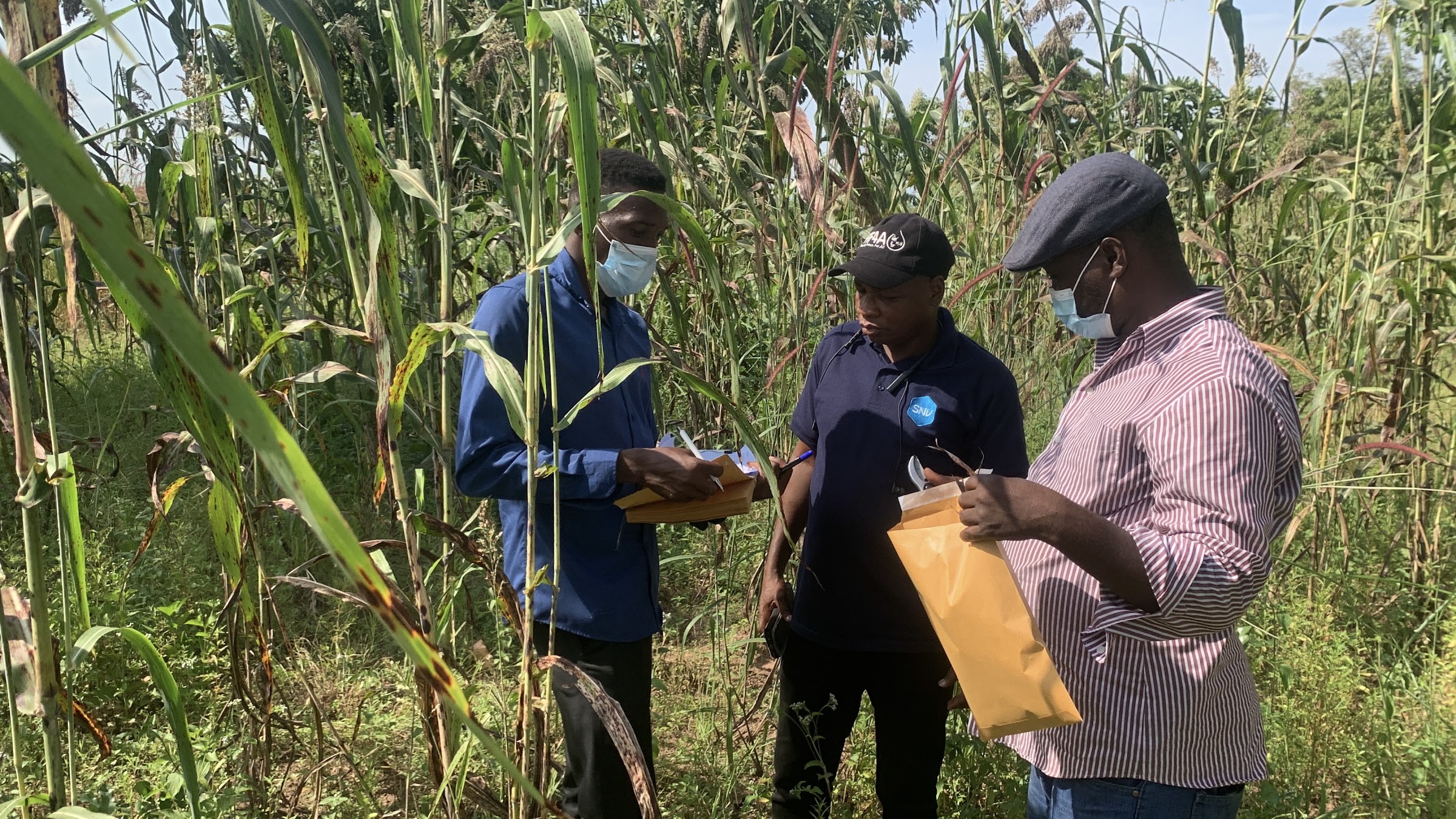 SSEED Ghana team supporting field-based enterprise work