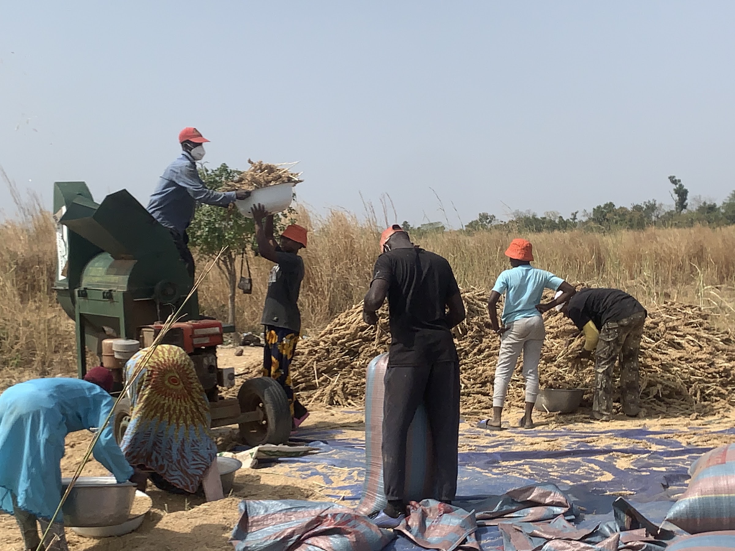 SSEED Ghana community members processing agricultural produce