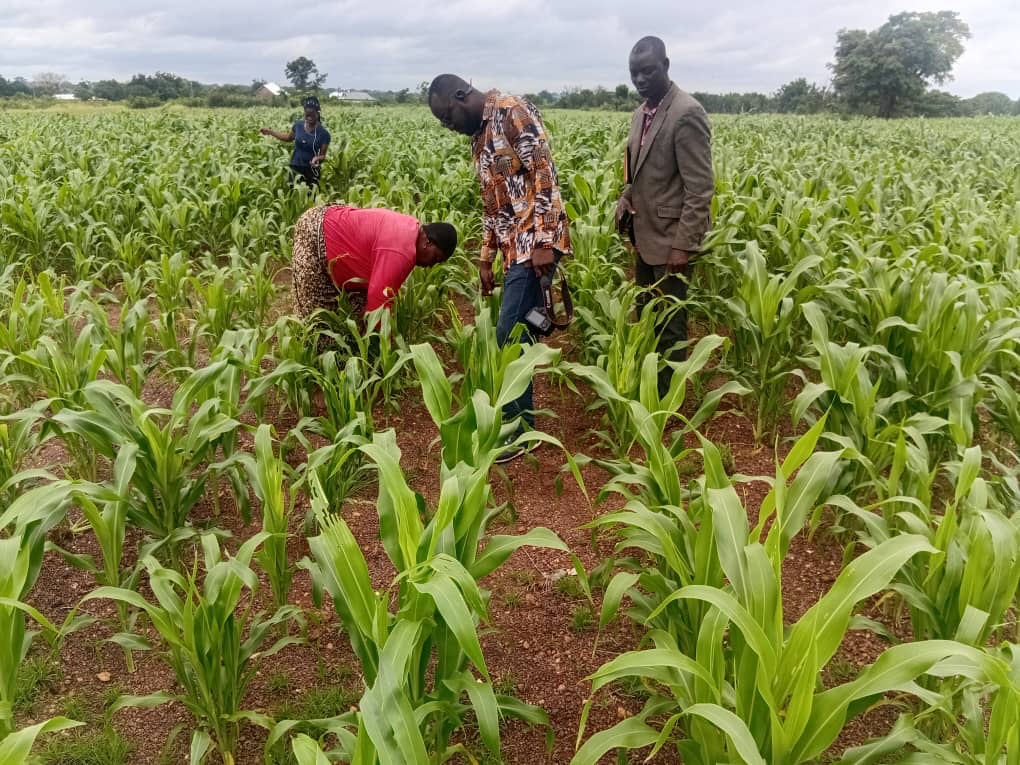 SSEED Ghana community members reviewing a crop field
